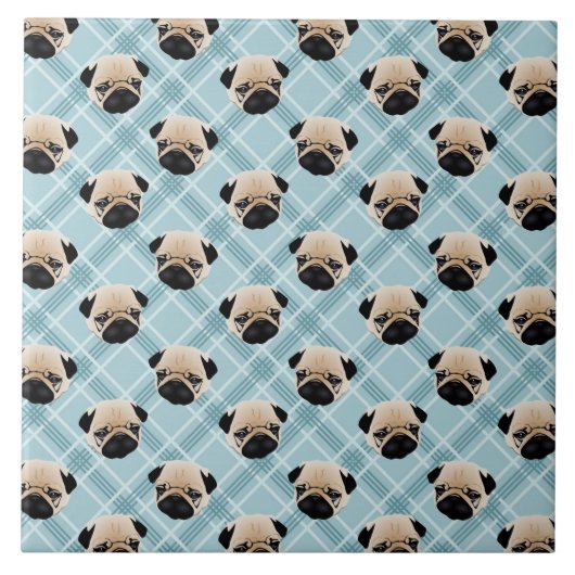 Carreau Carlins sur le plaid bleu (Devant)