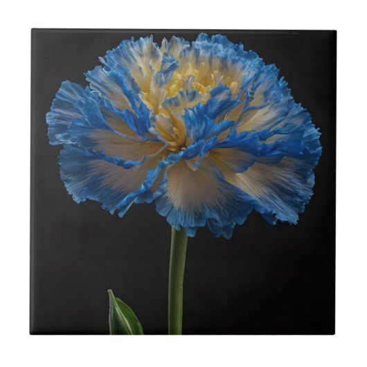 Carreau Carnation Bleue Et Jaune, (Devant)
