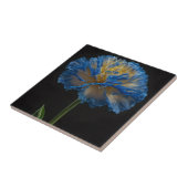 Carreau Carnation Bleue Et Jaune, (Côté)