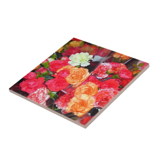 Carreau Carnation Carnation (Côté)