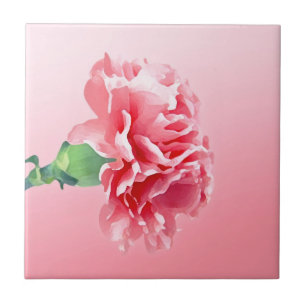 Carreau Carnation rose