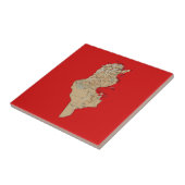 Carreau Carnet de cartes de Tunisie (Côté)