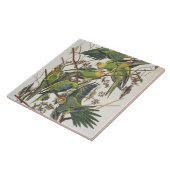 Carreau Carolina Parakeet, de 'Birds of America', 1829 (Côté)