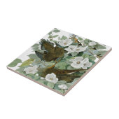 Carreau Carolina Pigeon Audubon Morning Dove (Côté)