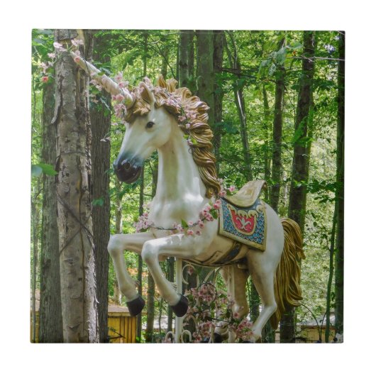 Carreau Carousel Unicorn (Devant)