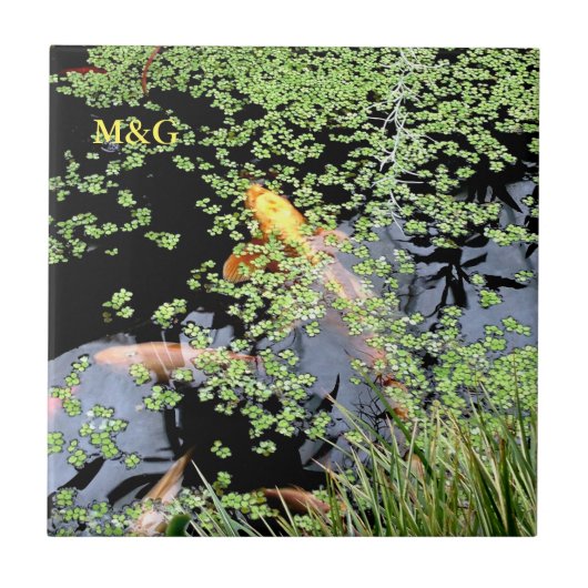 Carreau Carpe (Devant)