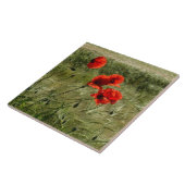 Carreau Carrelage 02 (Côté)