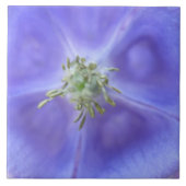 Carreau Carrelage à fleurs Aquilegia (Devant)