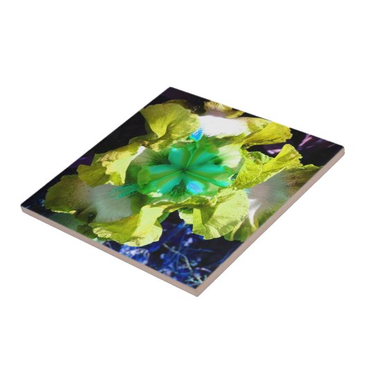 Carreau Carrelage à fleurs en fer jaune, blanc et vert (Côté)