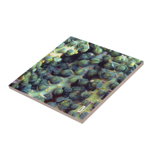 Carreau Carrelage alimentaire (Côté)