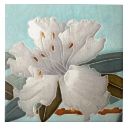 Carreau Carrelage Art nouveau cheminée décorative (Devant)