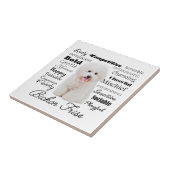 Carreau Carrelage Bichon Traits (Côté)