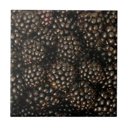 Carreau Carrelage Blackberry (Devant)