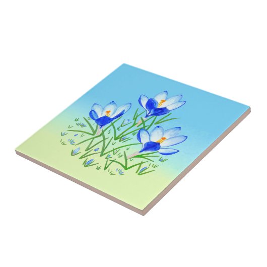 Carreau Carrelage bleu Crocus pâle bleu et jaune en cérami (Côté)