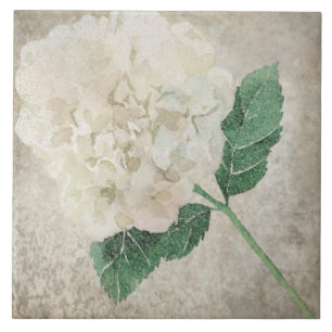 Carreau Carrelage botanique vieilli - Aqua et Bone V2