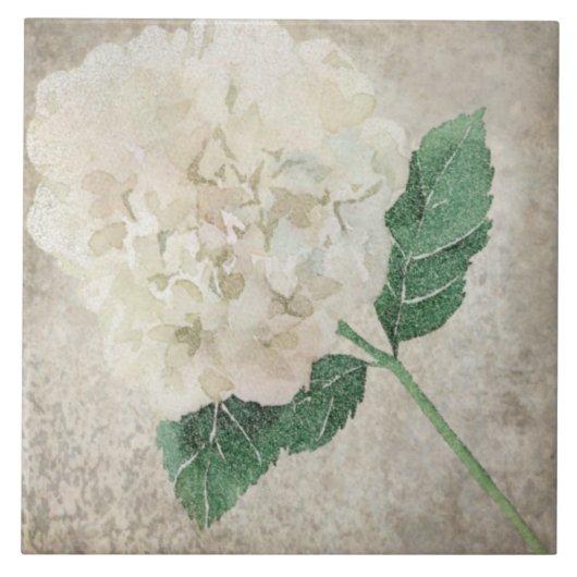 Carreau Carrelage botanique vieilli - Aqua et Bone V2 (Devant)