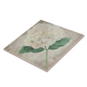 Carreau Carrelage botanique vieilli - Aqua et Bone V2 (Côté)