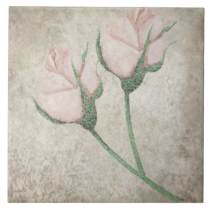 Carreau Carrelage botanique vieilli - Aqua et Bone V4