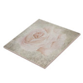 Carreau Carrelage botanique vieilli - Aqua et os V7 (Côté)