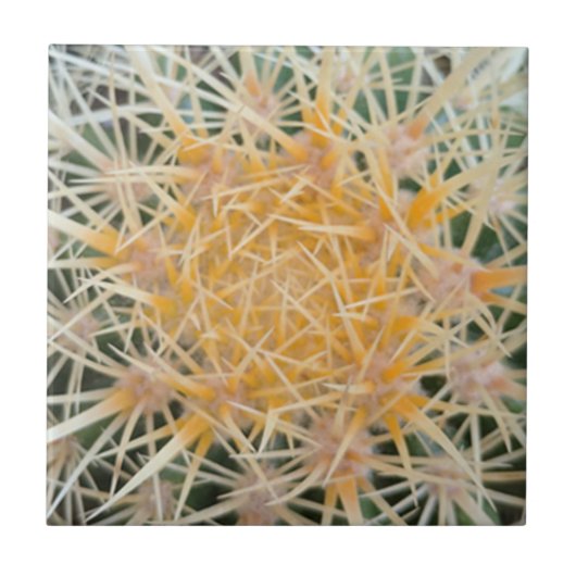 Carreau Carrelage Cactus (Devant)
