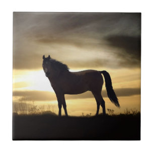 Carreau Carrelage cadeau Sunset Horse SIlhouette