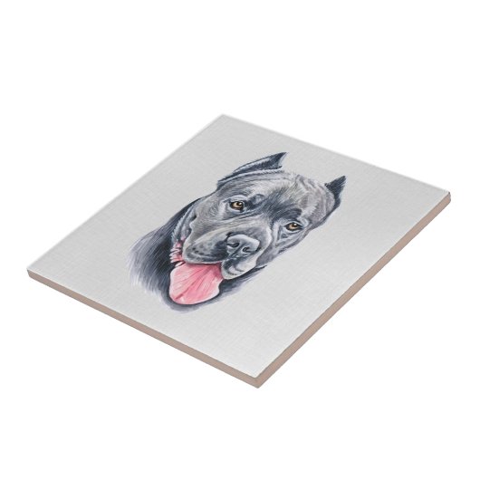 Carreau Carrelage Canne Corso (Côté)