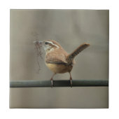 Carreau Carrelage Carolina Wren Songbird (Devant)