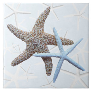 Carreau Carrelage Carré décoratif Starfish Couple