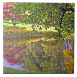 CARREAU CARRELAGE CÉRAMIQUE/BELLES COULEURS REFLÉTÉES EN É