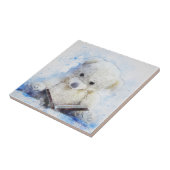 Carreau Carrelage céramique en Teddy Bear (Côté)