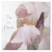 Carreau Carrelage céramique Iris Fleur rose/violet (Devant)