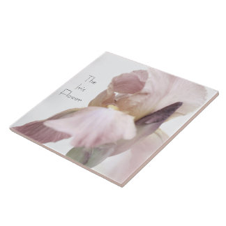 Carreau Carrelage céramique Iris Fleur rose/violet