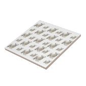 Carreau Carrelage céramique Ours blancs polaires (Côté)