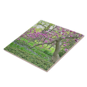 CARREAU CARRELAGE CÉRAMIQUE / TULIP ROSE / ARBRE DE MAGNOL
