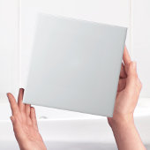 Carreau Carrelage clair simple moderne gris clair