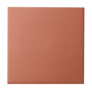 Carreau Carrelage couleur uni minimaliste en terre cuite