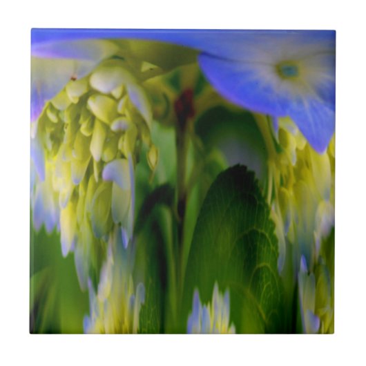 Carreau Carrelage d'art Abstrait Floral Blue Hydrangea (Devant)