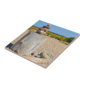 Carreau Carrelage d'art de plage (Côté)