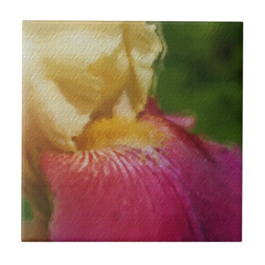 Carreau Carrelage d'art floral en iris jaune Macro (Devant)