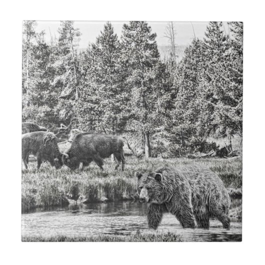Carreau Carrelage d'art Ours et Baffalo (Devant)