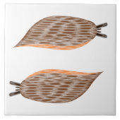 Carreau Carrelage de boues (Devant)