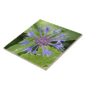 Carreau Carrelage de Cornflower bleu (Côté)