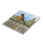 Carreau Carrelage de cuisine en céramique Robin (Côté)