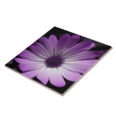 Carreau Carrelage de Fleur De Fleur De Faisée Violette (Côté)