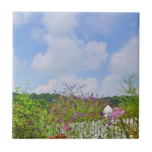 Carreau Carrelage de jardin d'été (Devant)