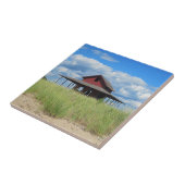 Carreau Carrelage de l'île de Grass (Côté)