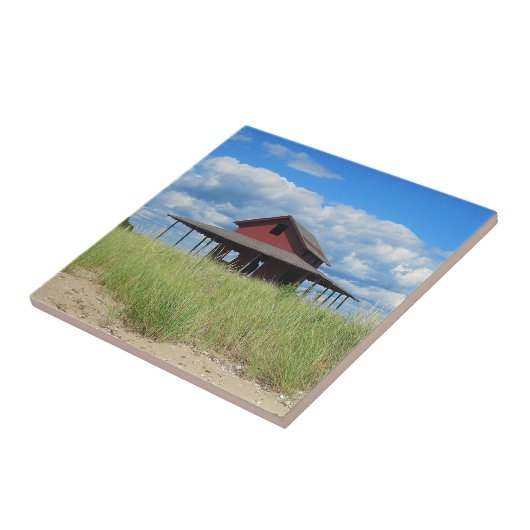 Carreau Carrelage de l'île de Grass (Côté)