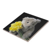 Carreau carrelage de l'ours daffodique (Côté)