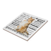 Carreau Carrelage de plateaux (Côté)