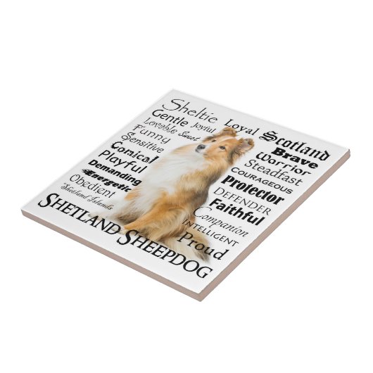 Carreau Carrelage de plateaux (Côté)